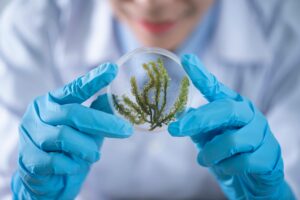 Personalized Medicine