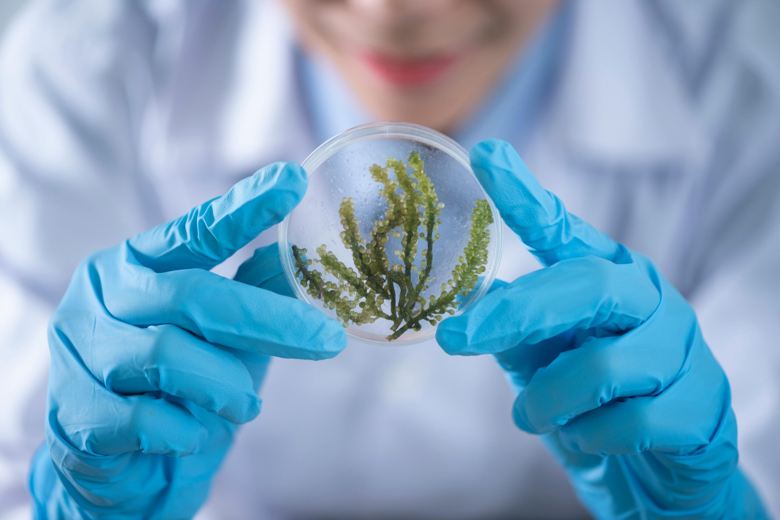 Personalized Medicine