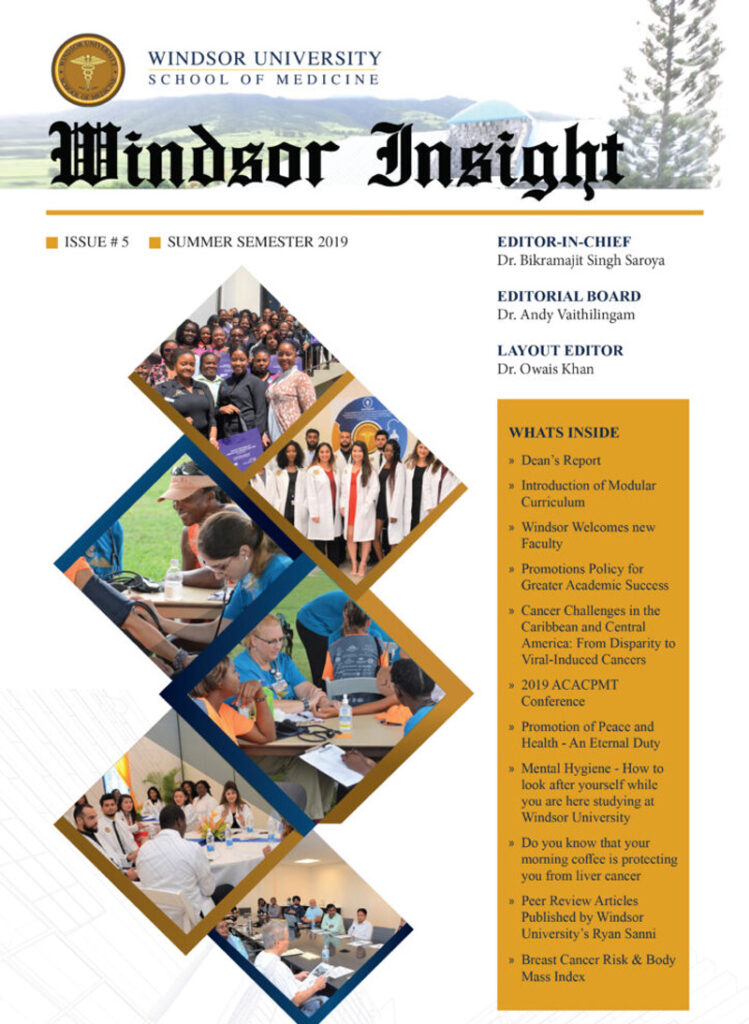 Windsor Iinsight
