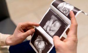 Why Embryology Matters in Modern Medicine
