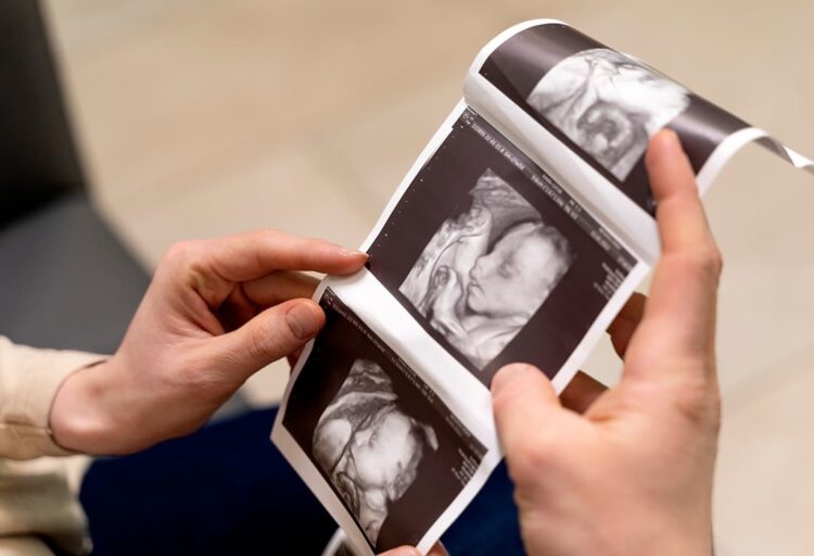 Why Embryology Matters in Modern Medicine